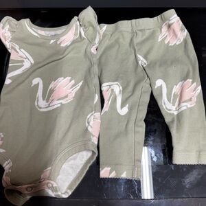 Carter's Olive Green and Pink Swan Baby Matching Set